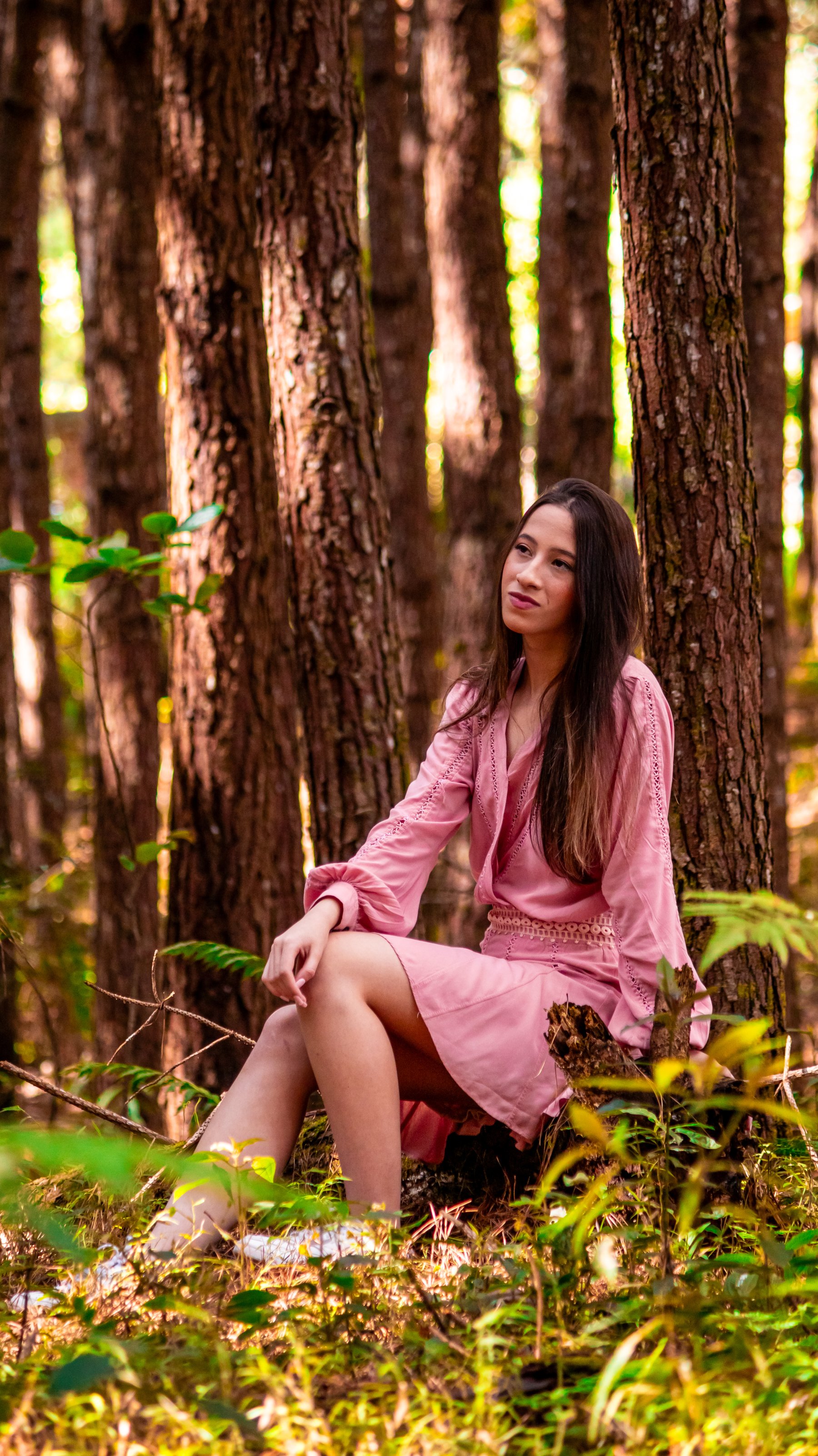 Nathalia sentada no chão em meio a uma bela plantação de reflorestamento de pinus